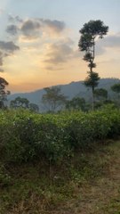 Pemandangan alam gunung lawu