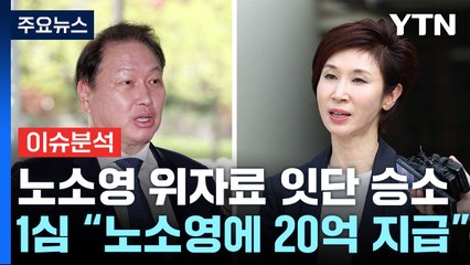 [이슈ON] "최태원 동거인, 노소영에 위자료 20억 지급" / YTN