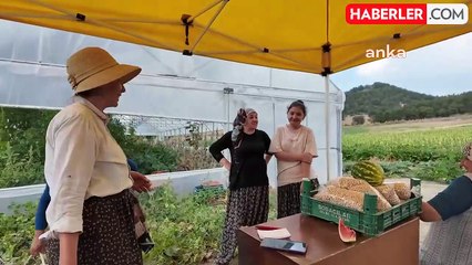 Bolu'da bamya üreticisi işçi maliyetlerini düşürmek için tarlasını yarı fiyatına açtı