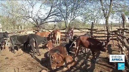 Former poacher becomes Zimbabwe conservation advocate