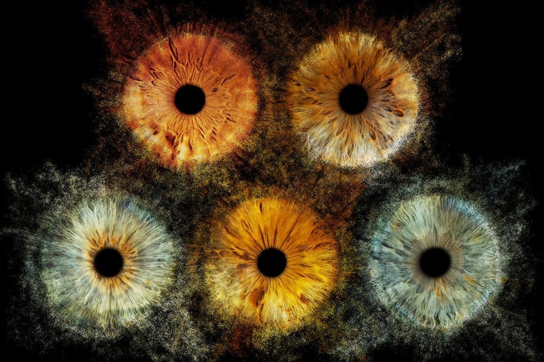 "T'as de beaux yeux tu sais ?" : une idée d'expérience et de cadeau insolite à Sainte Maxime