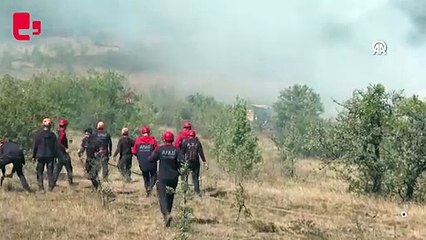 Gerede'deki orman yangını kontrol altına alındı