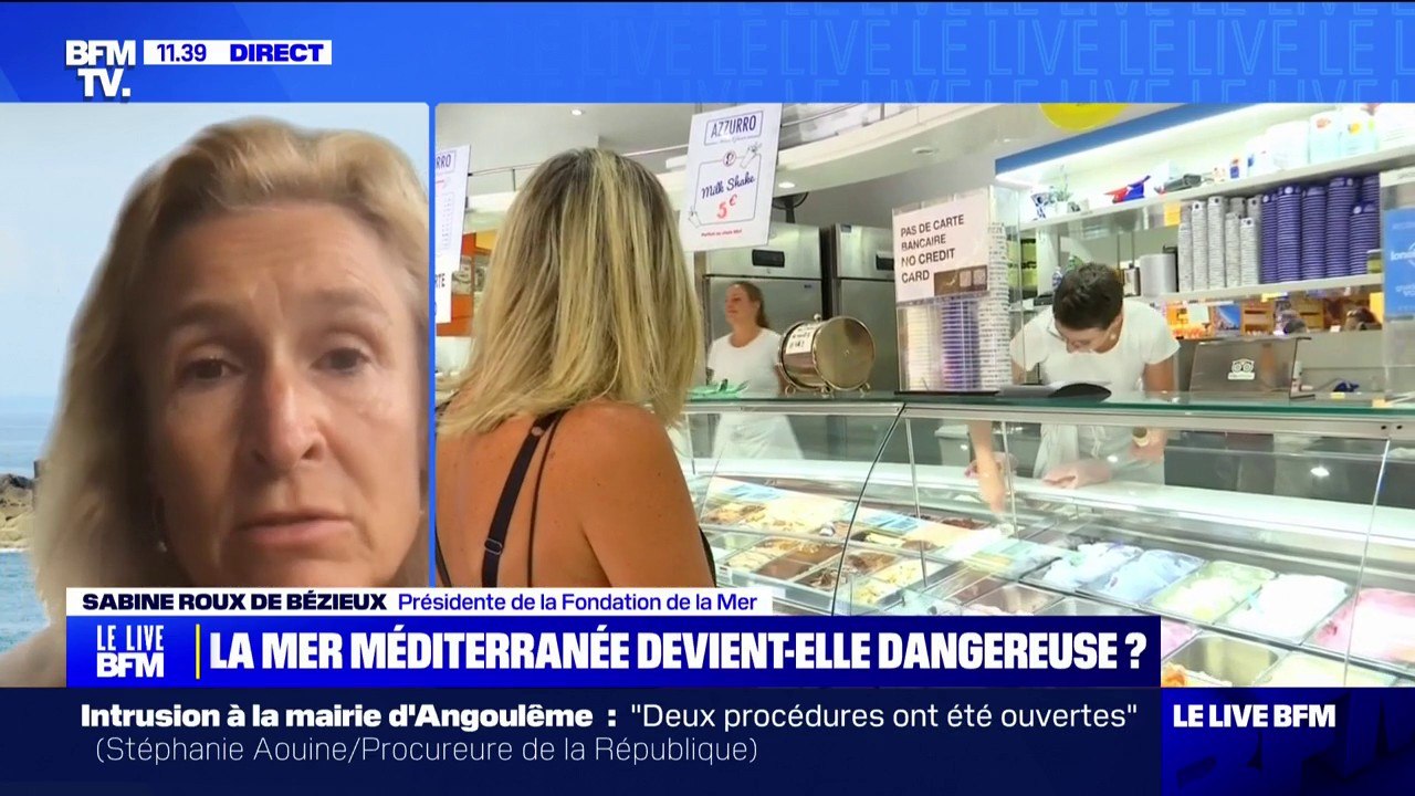 Sabine Roux de Bézieux (présidente de la Fondation de la Mer), sur la canicule marine: "Pour la faune et la flore dont la vie dépend du bon état de la Méditerranée, c'est une catastrophe"
