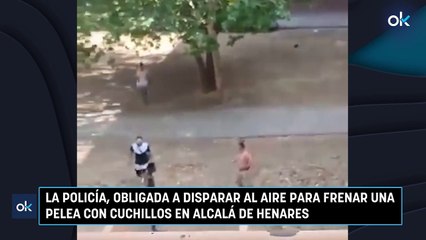 La Policía, obligada a disparar al aire para frenar una pelea con cuchillos en Alcalá de Henares