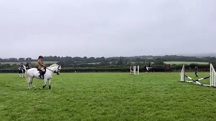 Horses and ponies warm up at Holsworthy Show 2024