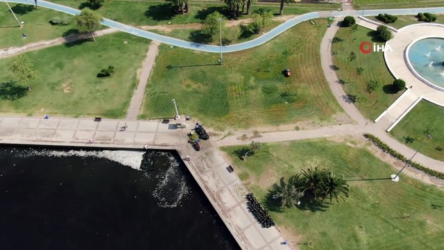 İzmir'de toplu balık ölümü! Yüzlercesi kıyıya vurdu