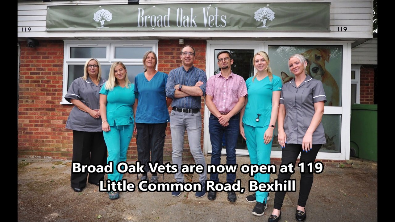 Broad Oak Vets are now open at 119 Little Common Road, Bexhill, East Sussex