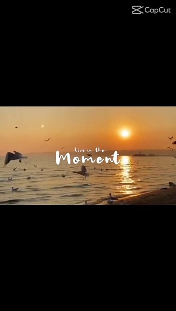 Entertainment video| entertainmentforyou