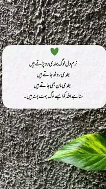 سنا ہے ایسے لوگ اللہ کو بہت پسند ہے #trending#viral#shorts#islamic#follow#foryou#dailymotion#share