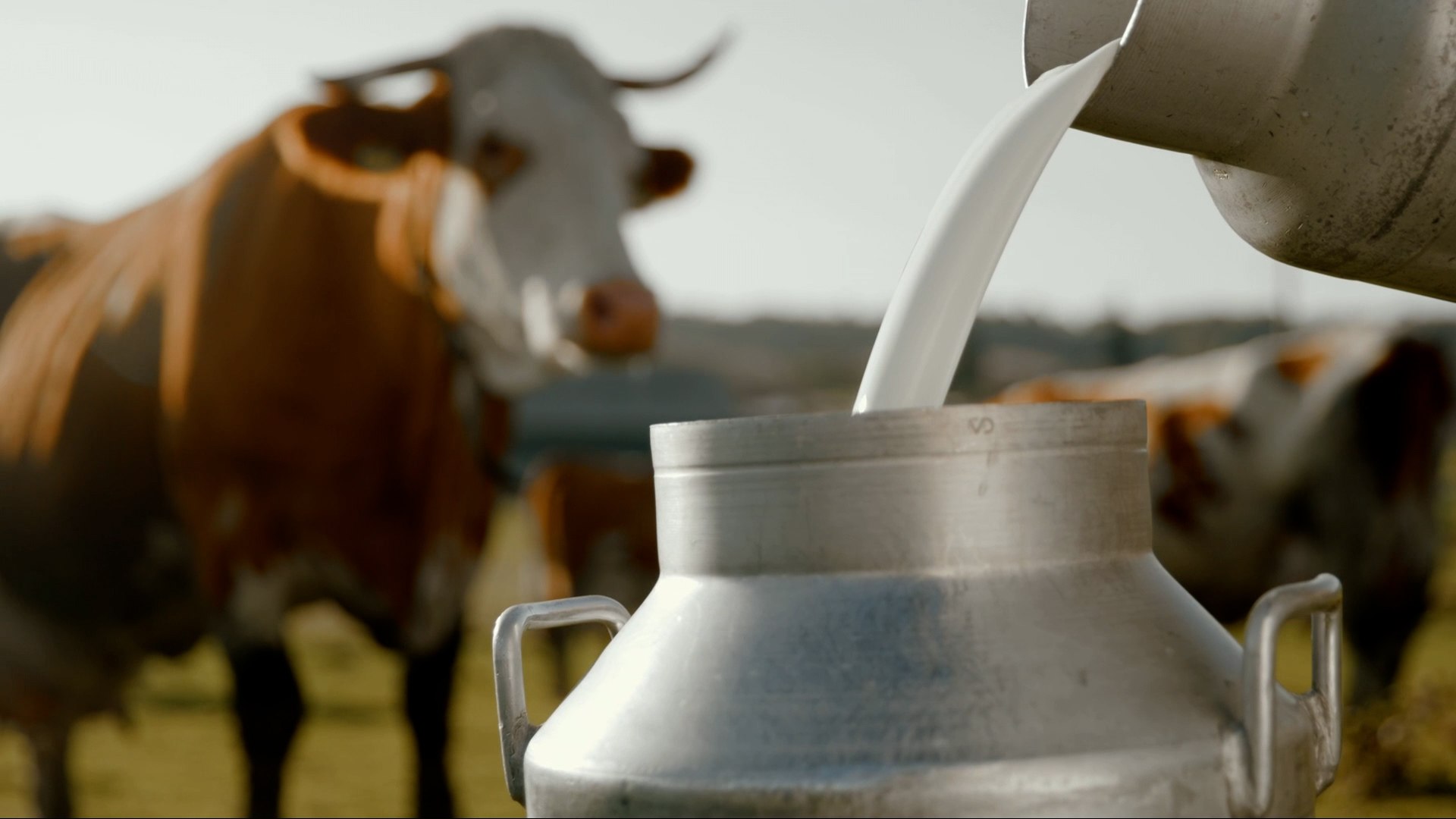 Beber leche cruda: la peligrosa moda que llega desde Estados Unidos