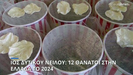 Ελλάδα: 12 θάνατοι από τον ιό του Δυτικού Νείλου το 2024- Σε ποιές περιοχές εντοπίζονται κρούσματα