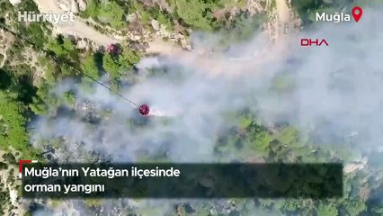 Muğla'nın Yatağan ilçesinde orman yangını