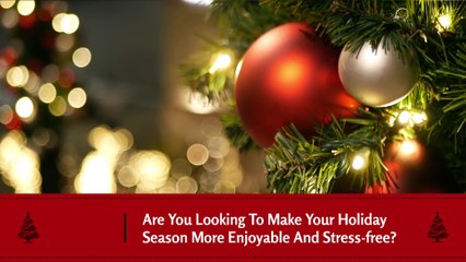 Christmas Light Installation