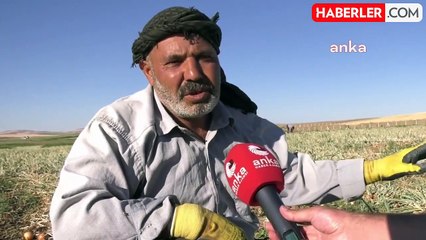 Mevsimlik Tarım İşçileri Yüksek Enflasyon ve Hayat Pahalılığıyla Mücadele Ediyor