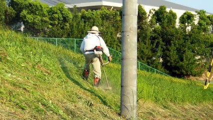 Fighting Weeds in the Rice Fields of Japan!