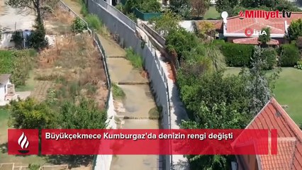 Kumburgaz'da denizin rengi değişti! Vatandaştan 'koku' şikayeti