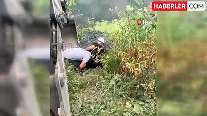 Melen Çayı'na düşen büyükbaş hayvanı itfaiye ekipleri kurtardı