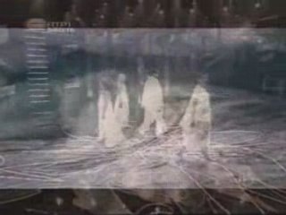 Eurovision 2008 - Vânia Fernandes - Senhora do Mar