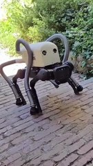 Vacuum-cleaner equipped robot