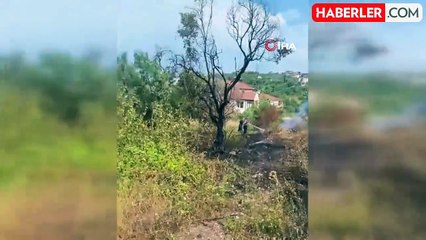 Yalova'da zeytinlik alanda yangın
