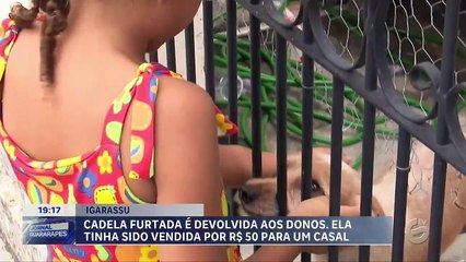 Cadela furtada em Igarassu é devolvida aos donos