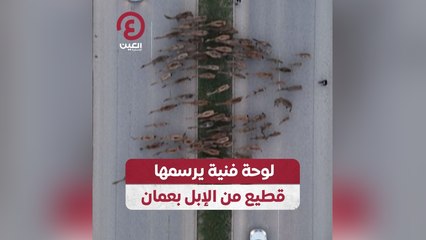 لوحة فنية يرسمها قطيع من الإبل بعمان