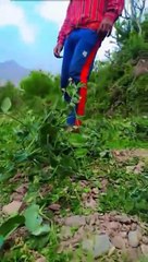 Aayi nahi video #dailymotionvideo