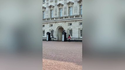 Buckingham Palace guard takes a tumble while on duty