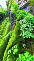 Amjad Ali Raz ki batay