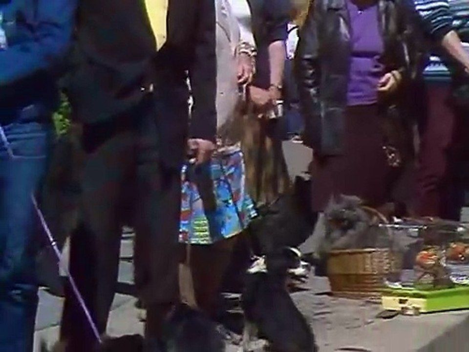 Tiere machen Leute (1988)04-Paarung