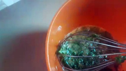 2023 KLIMAATNEUTRAAL KOKEN OP ZONNEENERGIE met LEPTOMANIA