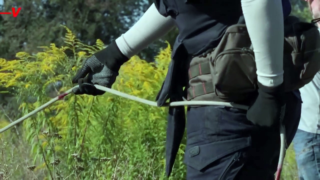 These Dogs Are Training to Help Clear Landmines in Ukraine