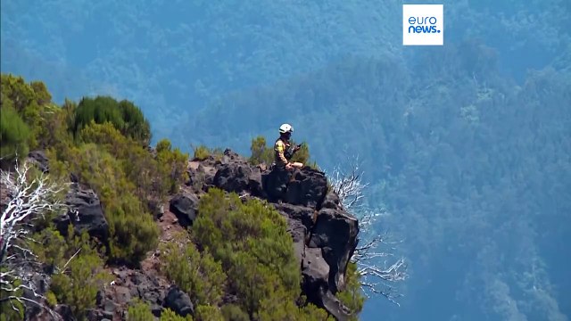 Incêndio na Madeira: ajuda da UE chega a território português