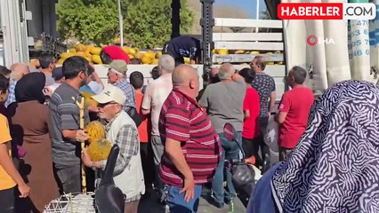 Tokat'ta Ücretsiz Kavun Dağıtımı