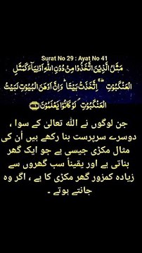 سب سے کمزور گھر مکڑی کا گھر ہے #trending#viral#shorts#islamic#follow#foryou#dailymotion#share