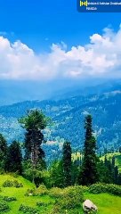 Mountain, there is highest Mount and much tall trees