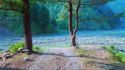 Discover the Hidden Beauty of Thandiani 