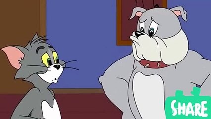 Tom and jerry shorts