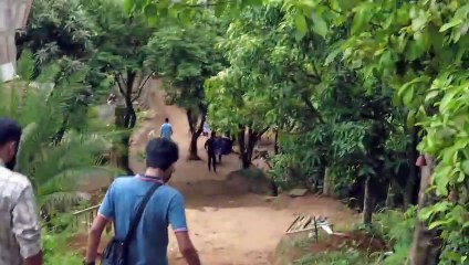 Eco Villa Resort in Bandarban - ASMR