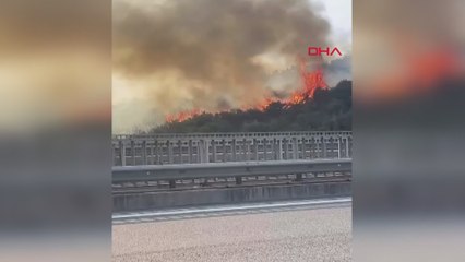 Kulübedeki yangın, zeytin bahçelerine sıçradı