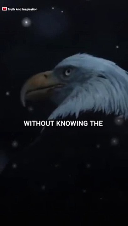 Without Knowing The Sigma rule  Whatsapp Status #shorts #sigma #trending