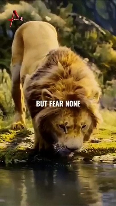 Sigma rule  Attitude status   WhatsApp status  Attitude quotes #shorts #quotes #attitude