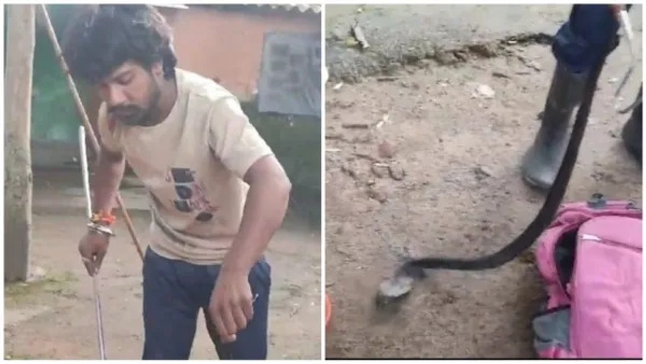 Betul News: बच्चे के स्कूल बैग से निकला खतरनाक कोबरा सांप, रेस्क्यू करने का वीडियो आया सामने