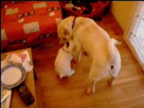 Gaara et Jules jouent - Vidéo