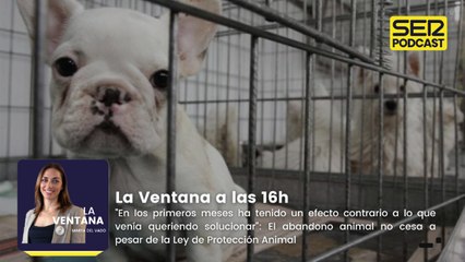 "En los primeros meses ha tenido un efecto contrario a lo que venía queriendo solucionar": El abandono animal no cesa a pesar de la Ley de Protección Animal