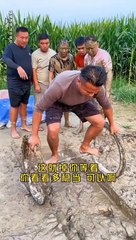 #funny #trending #grow #viral #foryou