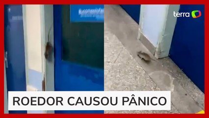 Rato é flagrado 'passeando' por corredores de hospital e assusta pacientes no RJ