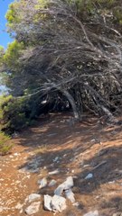 BALADE OMBRAGÉE sur les îles Paklenis
