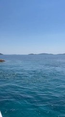 DÉPART en ferry depuis Orebic vers Korcula