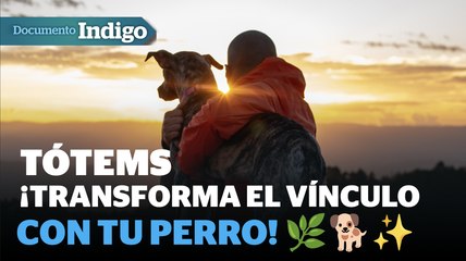 Tótems, la pasión de conectar con tu perro en la naturaleza | Reporte Indigo